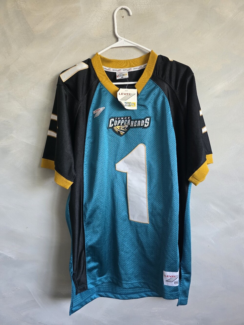 Vtg Texas Copperheads Arena Football Jersey 00s Y2K Teal Block Jersey M Blank